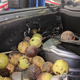 Illustration for article titled The Number of Nuts Stuffed Into This Nissan Murano's Engine Bay Is Astonishing